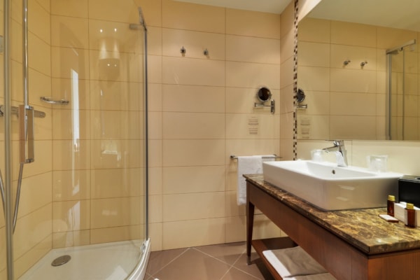 Hotel Devín, Bratislava, hotellrom bad